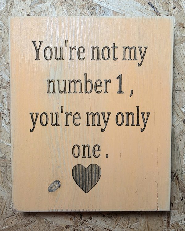 You're not my number one,  you're my only one